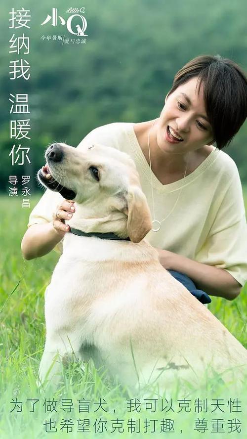 不动产证书内容图片
